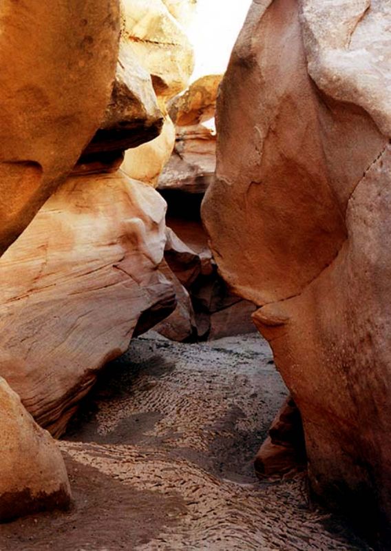 04160302LittleWildHorse (1085)